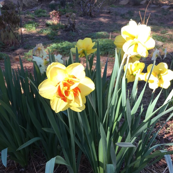 Meet your Posher, MsCook - Picture 2 of 2